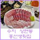 홍선생횟집
