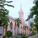 성원초 후문 담장내 | 다낭 핑크성당 내부 입장 시간과 입장료 성물과 역사