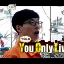 욜로 - 당진시 | 욜로