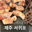 육치미