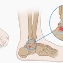 숲속부부한의원 이미지