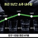 소주홀릭 이미지
