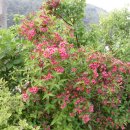 모악농장 이미지