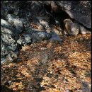 곰골스카이 이미지