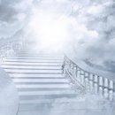 허브세상 이미지