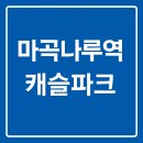 마곡나루1번지공인중개사사무소 | 마곡나루역 도보 3분, 캐슬파크 오피스텔 내부 공개!(실사진첨부)