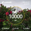 5월27일 오늘도 잡초랑 이미지