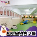 (주)반려동물털로덮인친구들 이미지
