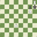 체크메이트 룩 이미지