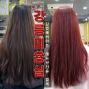 강릉미용실 염색 잘하는 김영헤어아트 레드브라운 후기