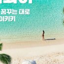 나의허니문여행 이미지