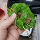 대전으로 가는 여행 이미지