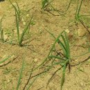 내곡농장 이미지