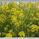 횃불농장 이미지