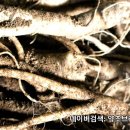 약초브라더스