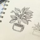 목3동시장 행복학습센터 | 부산 서대신 1동 주민센터 강좌 <일상을 그리다, 서대신1동 어반스케치> 개강 - 고분도리 마을