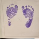 미래동물병원 | 대구미래여성병원 자연분만 후기 (+2박3일 다인실 비용)