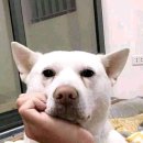 베이크잇