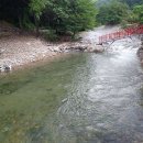 횡성산울림오토캠핑장 이미지