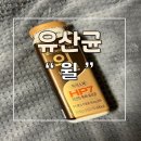 프레딧 주문 윌 요구르트 효능 가격 칼로리