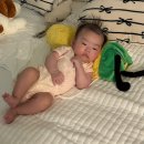 송현동 98-120 | 🍼3개월 아기 성장일기 (생후 91일~120일): 3개월 첫 문센 분태기