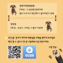 서이동물병원 이미지