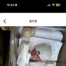 동실유치원 | 동탄제일프리미엄 조리원 조르다노스위트 이용후기