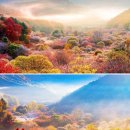 (마감)10월19일(월) 설악산 필레약수&amp;주전골 단풍-비밀의정원 이미지
