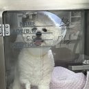 안양비산동물병원 이미지
