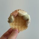 성심로 | 춘천 젤라또 두스쿱 크리스마스 분위기 가득 젤라또 오마카세 먹고 온 후기