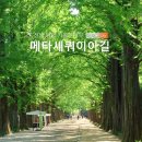 아름다운길