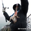 쭈꾸미꾸미 이미지