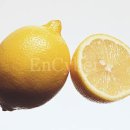 컬럼비아치과병원 이미지