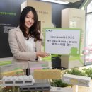 에코하우스 이미지