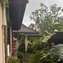 아루마 | 발리 시내 왕가성비 내돈내산 아루마스타 우붓Arumasta Ubud 후기