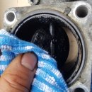 장일카센타 이미지