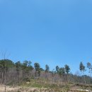 미리내 농장 이미지