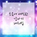 안산동물병원 이미지