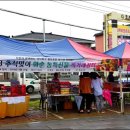 화순불미나리 이미지