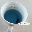 꽃차,버터플라이 피,겹꽃버터플라이피(butter fly pea) 이미지