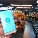 레몬핏 휘트니스 이미지