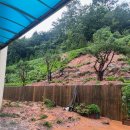 군산대성중학교 이미지