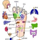 손과 발 지압 혈자리에 건강 있다 이미지