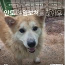 안토/남아/4살추정 이미지
