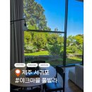 야크마을 | 서귀포 감성 숙소 야크마을 풀빌라에서 즐긴 반려견 동반 여행