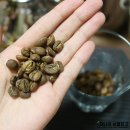 한국씨앤티 | 양정 씨앤티바리스타학원 브루잉 수업 4회차 후기