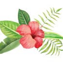 칙칙폭폭999 게스트하우스 이미지