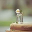 월배조은한의원 이미지