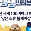 갈매기농장 이미지