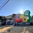 유기농엑스포광장